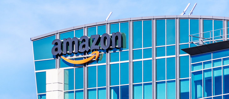 Amazon: competitive or complementary sales channel?
